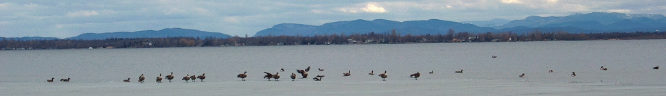 Adirondack Base Camp Adirondack Base Camp header image