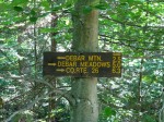 2009-08-08-092509 Debar Mtn. Junction