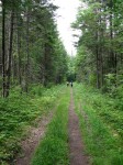 2009-08-09-100701 Forest Road