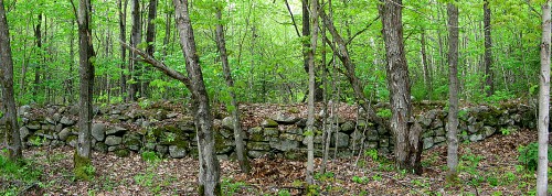 Wall Wall