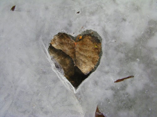 Icy Heart