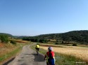 Road to Alboreca