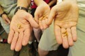 Tupper Lake Mayor, Mickey Desmarais, 2nd grader, Ethan Edwards and Wild Center Naturalist, Rob Carr, show off their salt n'vinegar flavored crickets and mexican spice flavored larvae in preparation for BuzzzFest on Saturday, July 2nd.