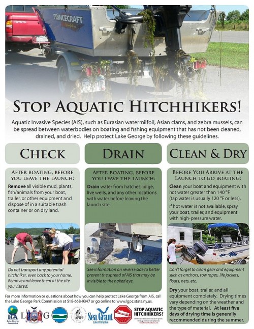 Invasive Species Flyer for Boaters