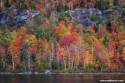 Adirondack Foliage - www.adkbook.com