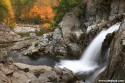 Adirondack Foliage - www.adkbook.com