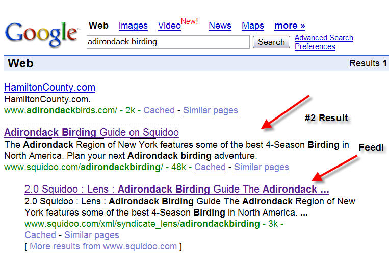 Google Search - adirondack birding