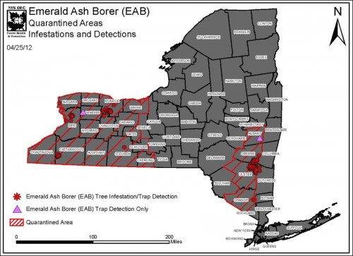 Emerald Ash Borer - Quarantined Areas - Infestations and Detections