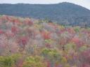 Fall Colors in the Adirondacks