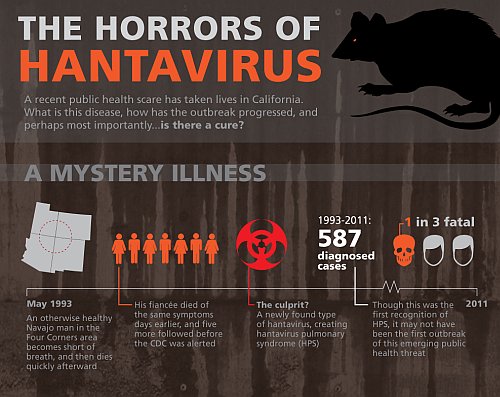 The Horrors of Hantavirus - Infographic