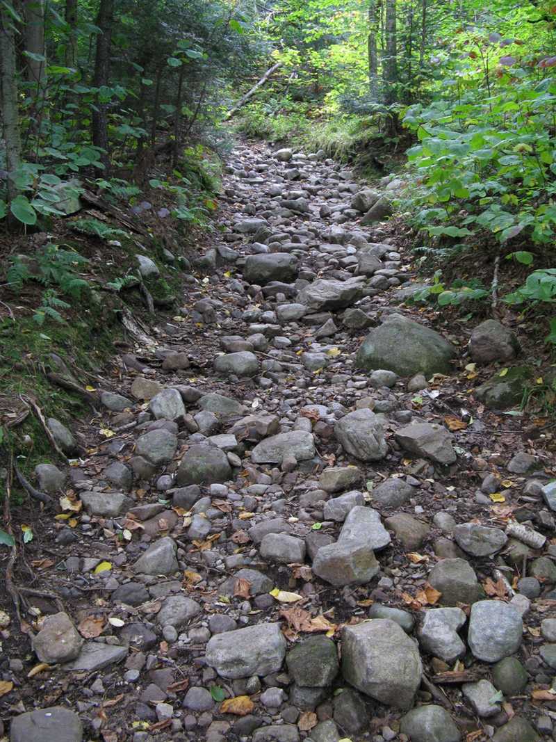 Old Trail - Lyon Mt